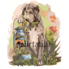 Maalaa numeroilla Z-AB38