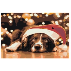 Maalaa numeroilla Z-AB417