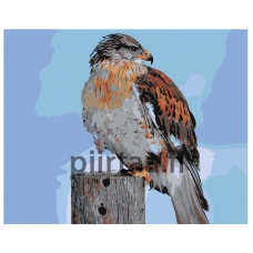 Maalaa numeroilla Z-AB418