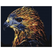 Maalaa numeroilla Z-AB419