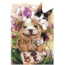 Maalaa numeroilla Z-AB41