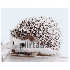 Maalaa numeroilla Z-AB423