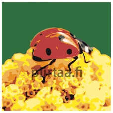 Maalaa numeroilla Z-AB428