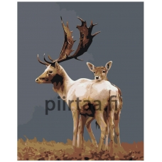 Maalaa numeroilla Z-AB431