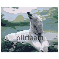 Maalaa numeroilla Z-AB433