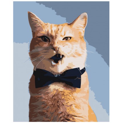 Maalaa numeroilla Z-AB435