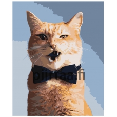 Maalaa numeroilla Z-AB435