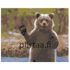 Maalaa numeroilla Z-AB437