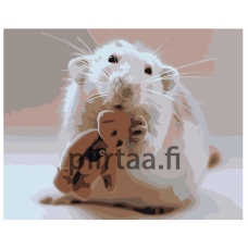 Maalaa numeroilla Z-AB444