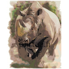 Maalaa numeroilla Z-AB47