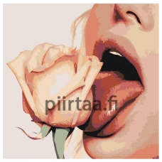 Maalaa numeroilla Z-AB488