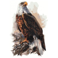 Maalaa numeroilla Z-AB48