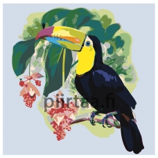 Maalaa numeroilla Z-AB4