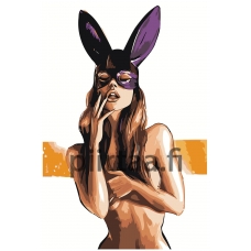 Maalaa numeroilla Z-AB521