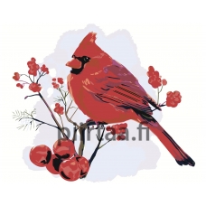 Maalaa numeroilla Z-AB52