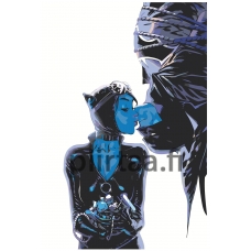 Maalaa numeroilla Z-AB544