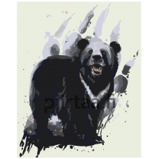 Maalaa numeroilla Z-AB54