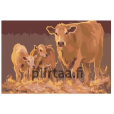 Maalaa numeroilla Z-AB553