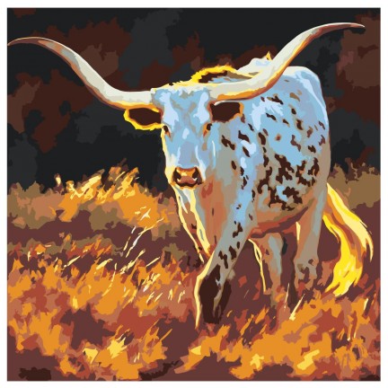 Maalaa numeroilla Z-AB558