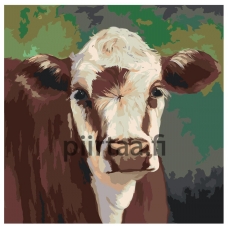 Maalaa numeroilla Z-AB562