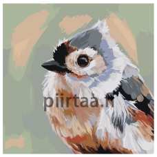 Maalaa numeroilla Z-AB563