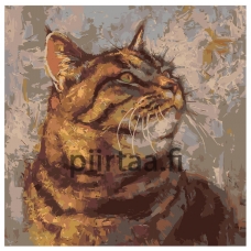 Maalaa numeroilla Z-AB564