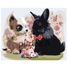 Maalaa numeroilla Z-AB56