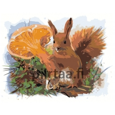 Maalaa numeroilla Z-AB57