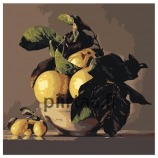 Maalaa numeroilla Z-AB580