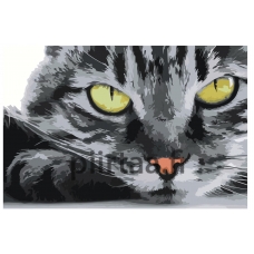 Maalaa numeroilla Z-AB592