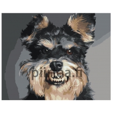 Maalaa numeroilla Z-AB593