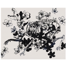 Maalaa numeroilla Z-AB616