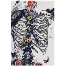 Maalaa numeroilla Z-AB618