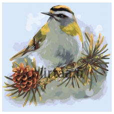 Maalaa numeroilla Z-AB61