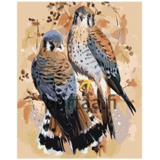 Maalaa numeroilla Z-AB62