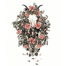 Maalaa numeroilla Z-AB638