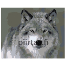 Maalaa numeroilla Z-AB639