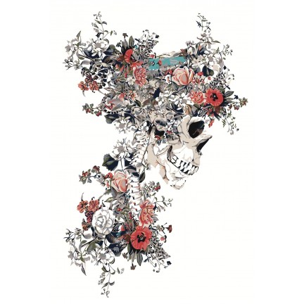 Maalaa numeroilla Z-AB640 Maalaa numeroilla Z-AB640