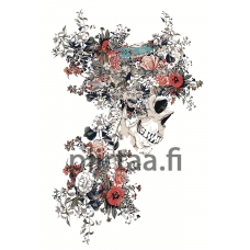 Maalaa numeroilla Z-AB640