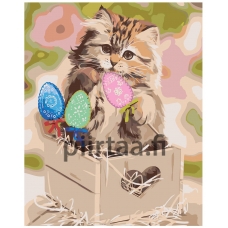 Maalaa numeroilla Z-AB64