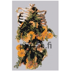 Maalaa numeroilla Z-AB655