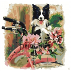 Maalaa numeroilla Z-AB65