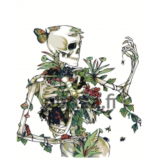 Maalaa numeroilla Z-AB662