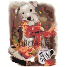 Maalaa numeroilla Z-AB68