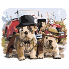 Maalaa numeroilla Z-AB69