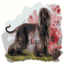 Maalaa numeroilla Z-AB6