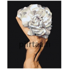 Maalaa numeroilla Z-AB716