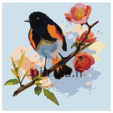 Maalaa numeroilla Z-AB7