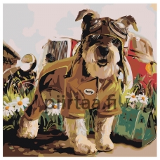 Maalaa numeroilla Z-AB80