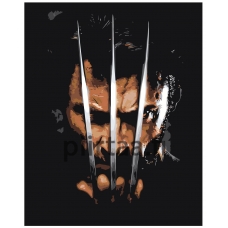 Maalaa numeroilla Z-AB92